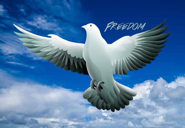 Inner Healing & Deliverance